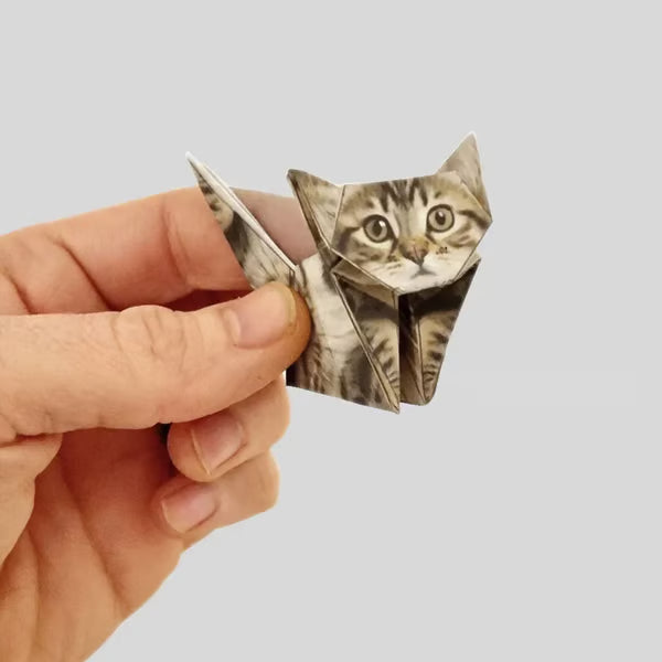😻✨Easy DIY Paper Cats Kit | Guided Lines & Instructions Included -Perfect Home Decor Gift🎁